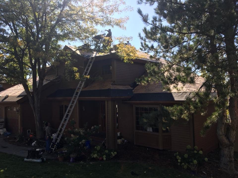 House roof replacement in progress in the trees