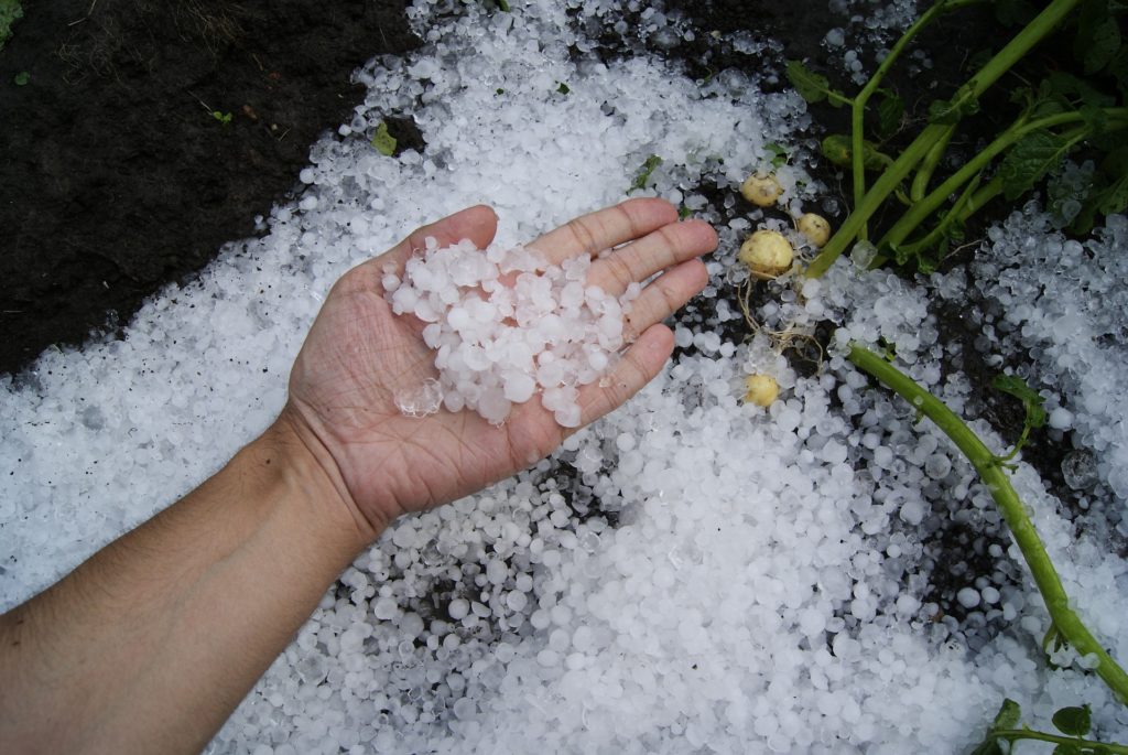 hail damage repair